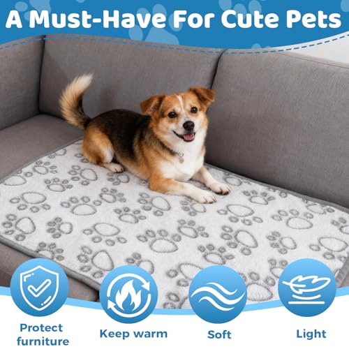 XRVRILE 5 Kuscheldecke Katzendecke für Hunde und Katzen, Flauschige Haustierdecke 40x60 cm, Waschbar, Graue Dog Blanket für Sofa, Hundedecke für Kleine Hunde Haustiere Unterwegs