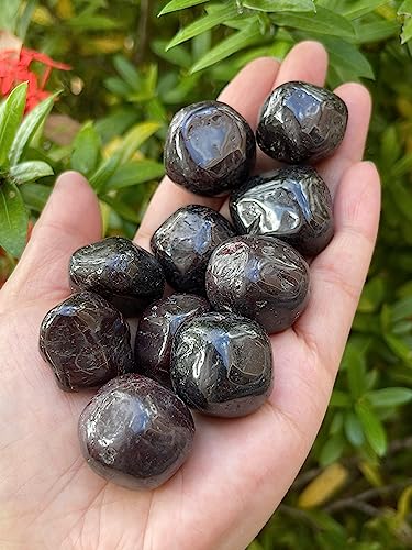 Image of GAF TREASURES 1 /2 LB Garnet Tumbled Stones, Polished Garnet Gemstone, Garnet Healing Crystals (Garnet)