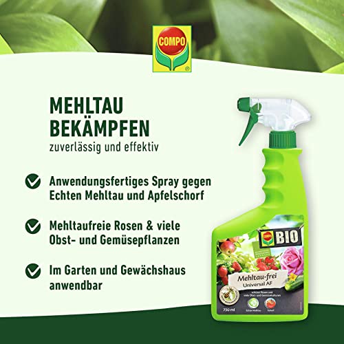 Compo Bio Mehltau-frei Universal AF Spray für Pflanzenpflege