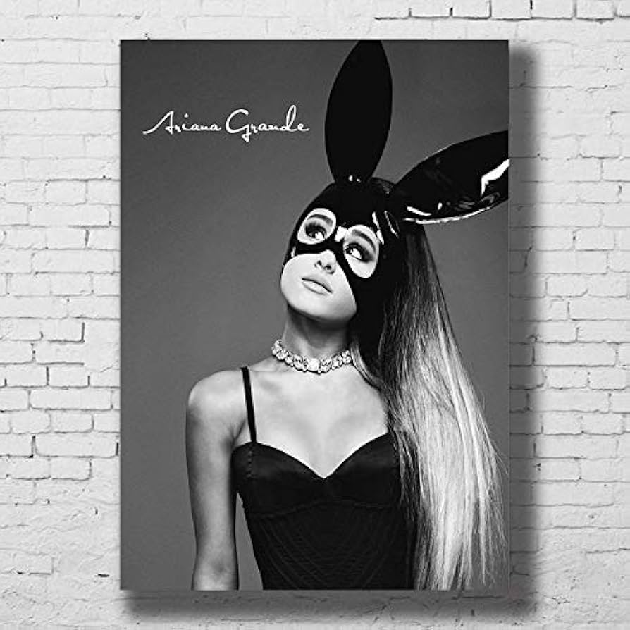Amazon.co.jp: アリアナグランデ音楽歌手ダイヤモンド塗装白黒壁