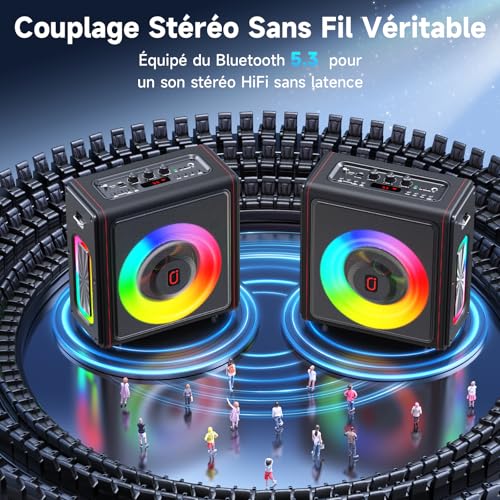 Enceinte karaoke 3 micro sans fil avec correction tonalité - 4
