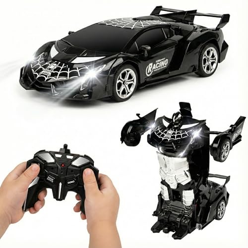 MUISHUYU Transforming Spider RC Car