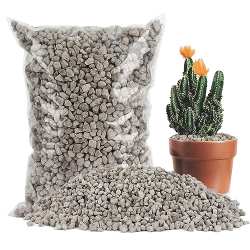 Sukh Horticultural Pumice Stone - Pumice Stone for Plants Succulent Cactus Bonsai Orchid Soil...