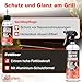 bio-chem Grill- und Backofen Reinigungsset 5-teilig - Kraftvolle Grillreiniger & Pflege inkl. Grillbürste + Grillschwamm - Für Gasgrill, Backrohr, Edelstahl, Gusseisen, Smoker u.v.m. - Made in DE