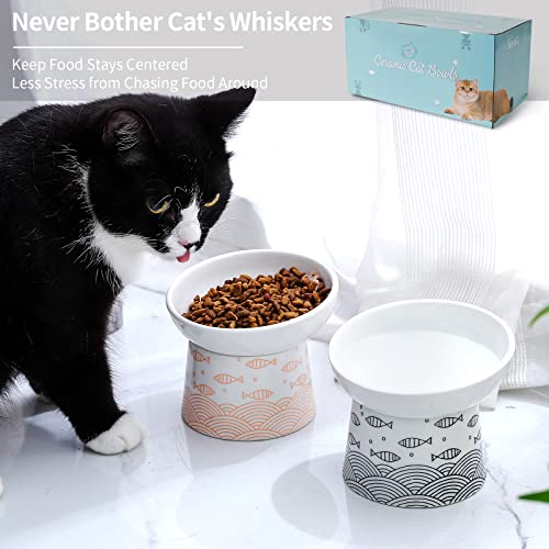 Ceramic Raised Cat Bowls, Elevated Tilted Cat Food And Water Bowls Set, Porcelain Stress Free Pet Feeder Dish For Kitty Cats And Small Dogs, Dishwasher And Microwave Safe, Set Of 2 #TOP2
