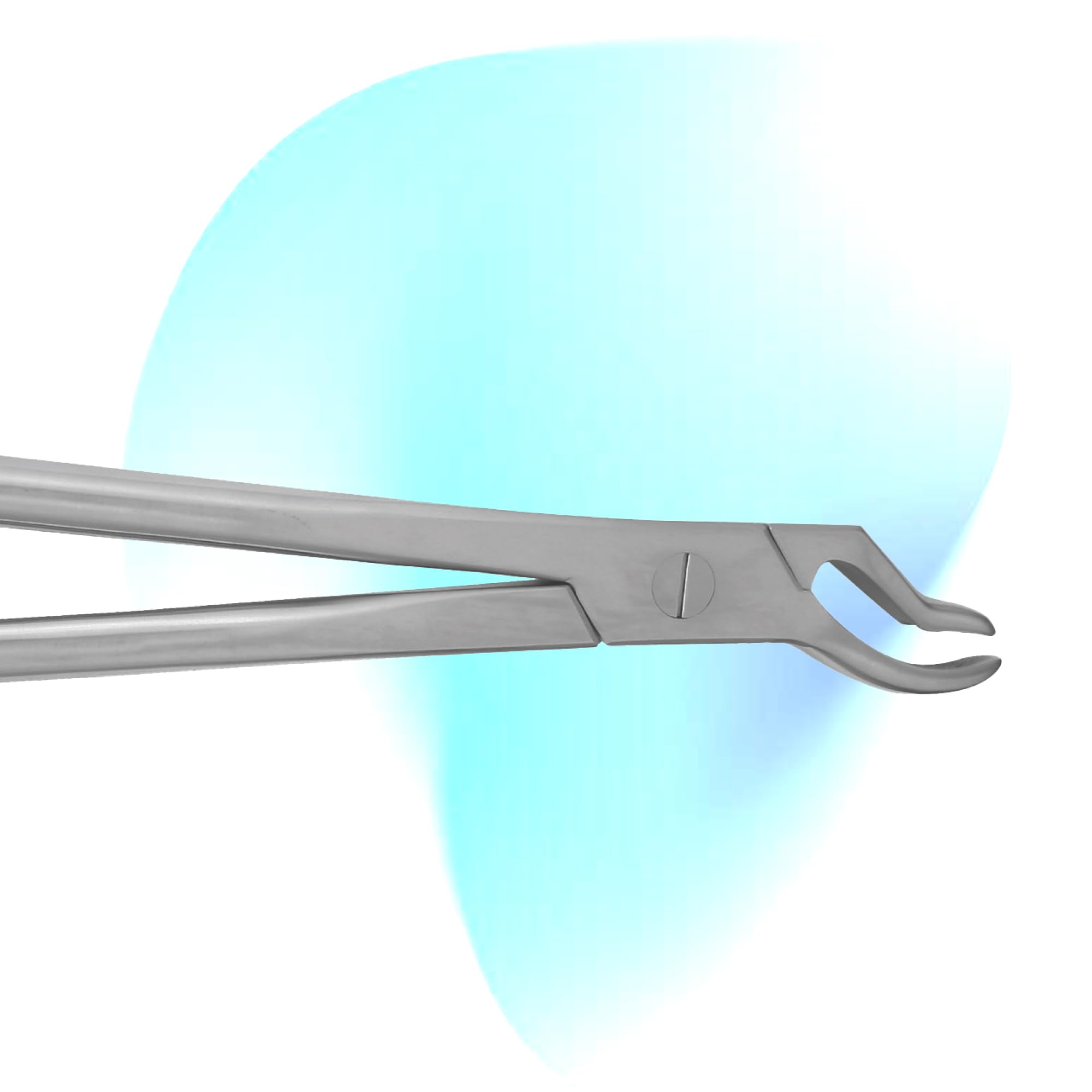 Equine Dental Forceps – Root Molar Extractor for Veterinary Use – Precision Stainless Steel Construction, Heavy-Duty Design for Effective Tooth Removal (EQI14)