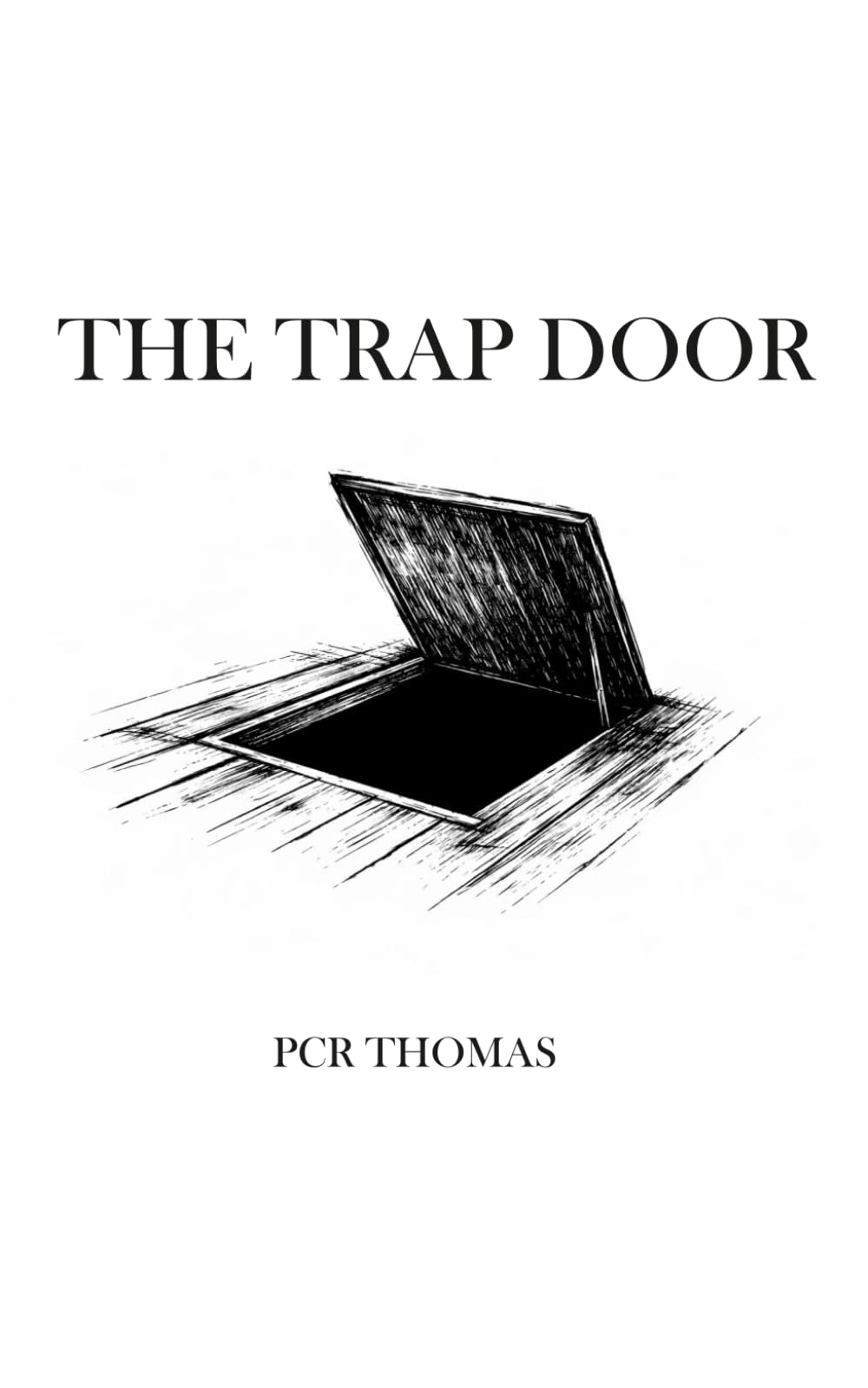 The Trap Door: A story of travel, chaos, friendship and a search for meaning.