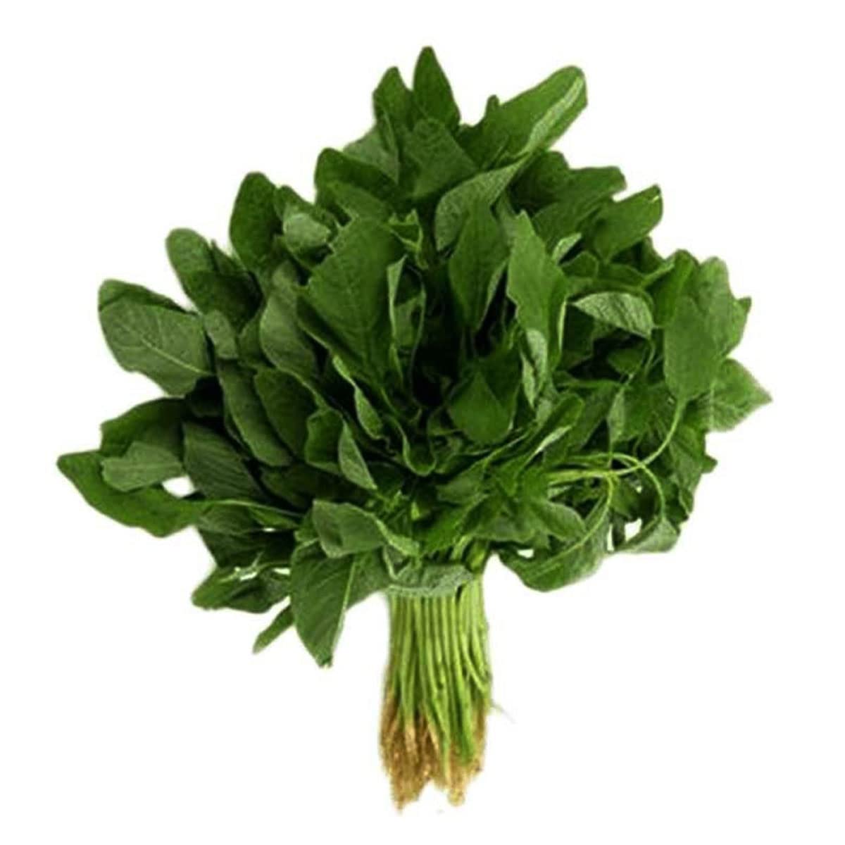 See full amazon price history chart for Bathua Seeds Hybrids F1 Vegetable Seeds for Home Garden for Planting for All Season (100 seeds) By Zabbus Bathua Seeds Hybrids F1 Vegetable Seeds for Home Garden for Planting for All Season (100 seeds) By Zabbus (B0BHX8ZX8K) Amazon Price History, Amazon Price Tracker