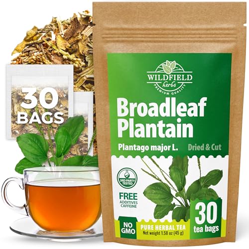 Image of 30 Bags Plantain Leaf Herb Tea Dried Plaintains Leaves (Plantago Major) - 30 Count 2g Tea Bags Greater Broadleaf Plantain Leaf Llanten