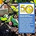 Bird-X PE-Plus Premium Bird Net, Ideal for Gardens and Commerical Applications, Durable Polyethylene Mesh Netting, 3/4