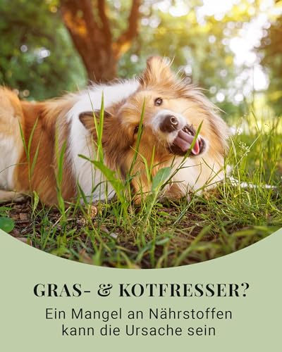 LEO LÖWENHERZ Gras- & Kotfresser Leckerlis für Hunde - 370g - Natürliche Drops zur Futterergänzung - Zuckerfrei & getreidefrei - Made in Germany