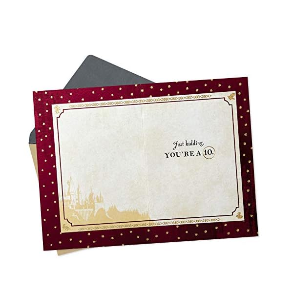 Hallmark Shoebox Funny Anniversary Card or Love Card for Significant Other (Monkeys) – Bild 3