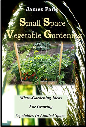 Small Space Vegetable Gardening: Micro-Gardening Ideas For Growing Vegetables In