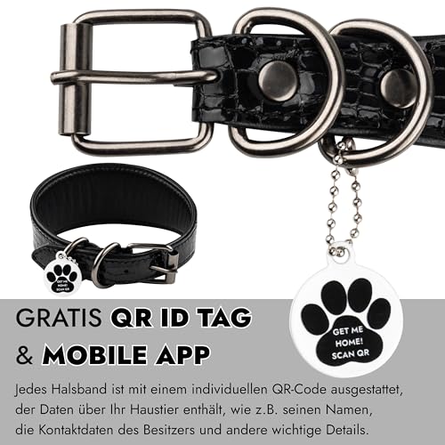 FAVPET Luxus Echtleder Windhund Halsband Breit mit QR Code Anhänger, Weiches Lederhalsband Hund Breit Whippet Italienisches Windspiel Saluki Lurcher Spanischer Galgo Greyhound Podenco (Schwarz, XS)