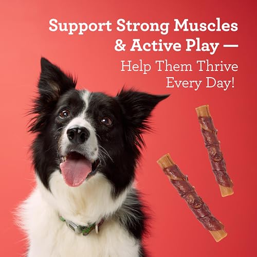 Image of DreamBone High Protein Rolls Rawhide-Free Dog Treats, 0.88 Ounce (Pack of 70)