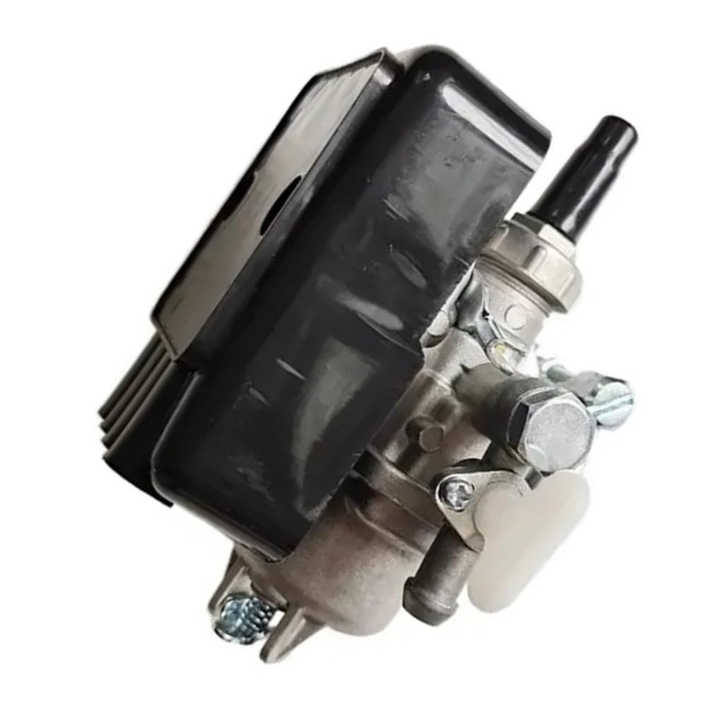 Flotteur de carburateur 21mm et filtre pour entretenir votre jardin avec un moteur 3WF-808