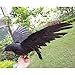 2-Pack Realistic Crows Lifesize Extra Large Handmade Black Feathered Crow for Halloween Decorations Birds, XL (15 inch+15 inch)