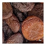Sunny Fruit Organic Apricots, Soft & Succulent Dried Turkish Apricots- 12 Portion PK