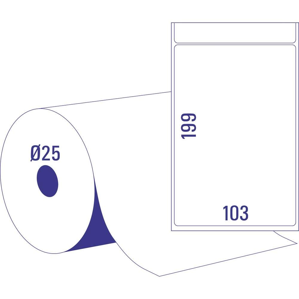 Avery Italia TD8060-25 Etichette in Rotolo a Trasferimento Termico, 103 x 199 mm