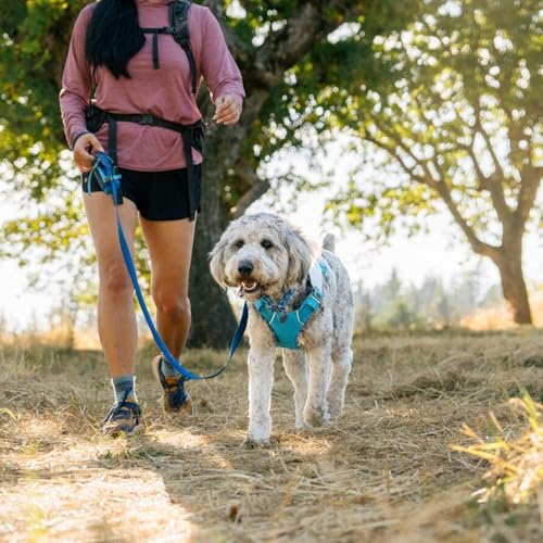 RUFFWEAR Swamp Cooler Hundegeschirr und Griff, leichte Laufausrüstung hält Haustiere bei heißem Wetter kühl, Verstellbar, stark und kühlend, 2 Leinen-Portale, Biolumin Blue (Small, 56-69 cm)