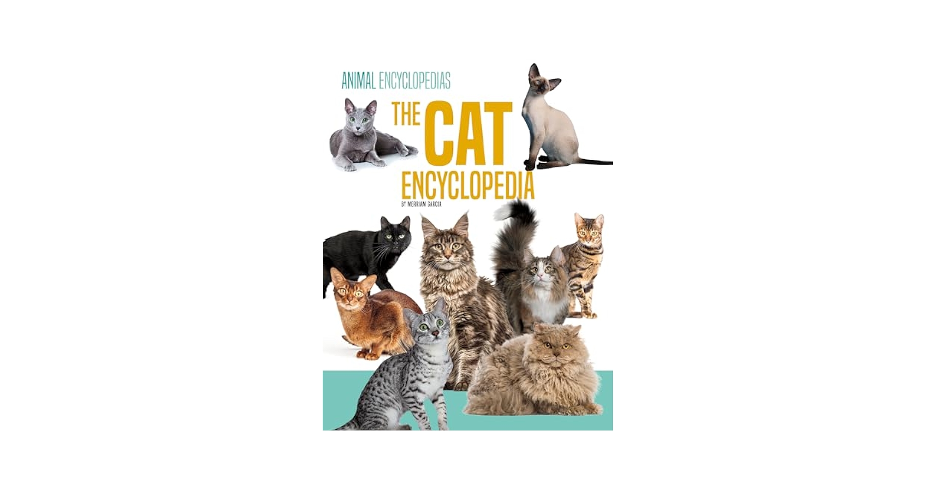 猫の本 ENCYLOPEDIA OF THE CAT The Cat Encyclopedia: The Definitive Visual Guide (DK Pet