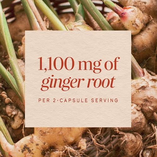Nature's Way Ginger Root Capsules,1,100 mg per Serving, Vegan, 240 ct - image 4