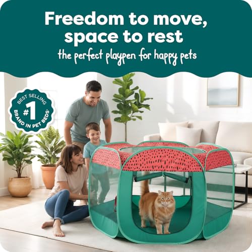 Image of FurHaven Soft-Sided Dog & Cat Playpen, Portable Foldable Indoor & Outdoor Pet Playpen with Mesh Windows & Zippered Door, Green & Pink, Extra Large