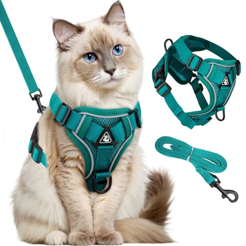 GlasFlength Pettorina per gatti con guinzaglio, antieruzione, guinzaglio per gatti