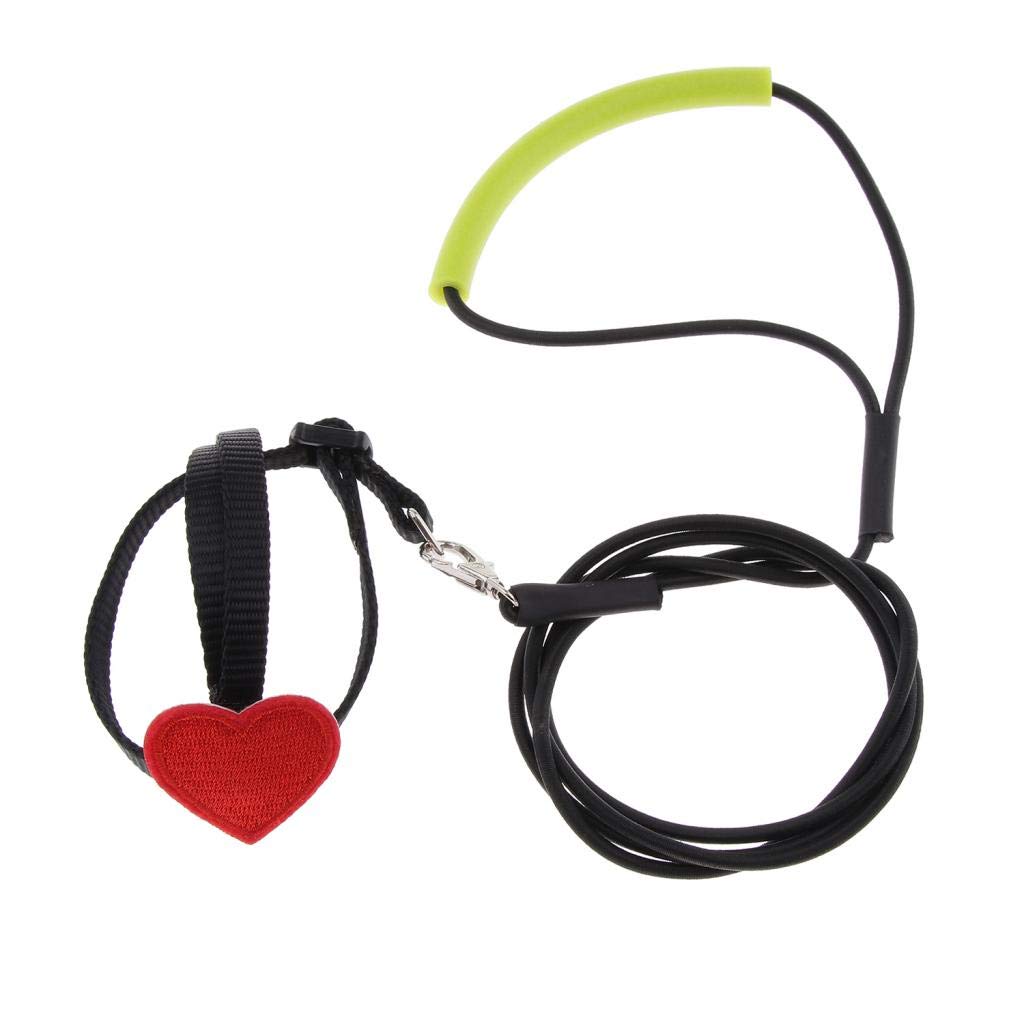 Bird Parrot Harness Leash Pet Rope for Birds Outdoor Training Leash, Black, XS