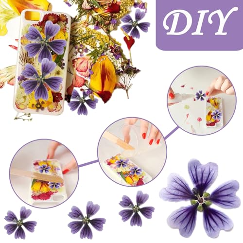 Flores Secas de Malva Prensadas Moradas para Manualidades miniatura 5