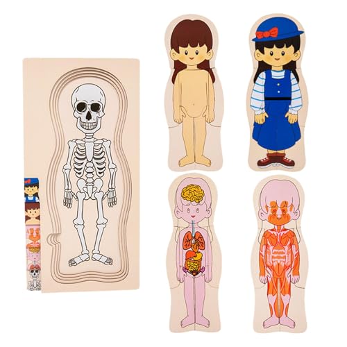 Rompecabezas del cuerpo humano para los,Rompecabezas de la estructura del cuerpo humano - Rompecabezas modelo de cuerpo humano | Plantilla de cuerpo humano interactivo y educativo, Reconocimiento de