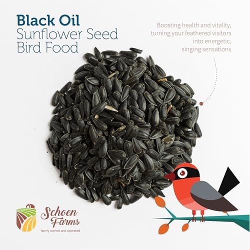 Schoen Farms Black Oil Sunflower Seeds – 2.27 kg Bag – Wild Bird Food for Chickadees, Cardinals, Jays & Finches – Grown in Canada — view 2