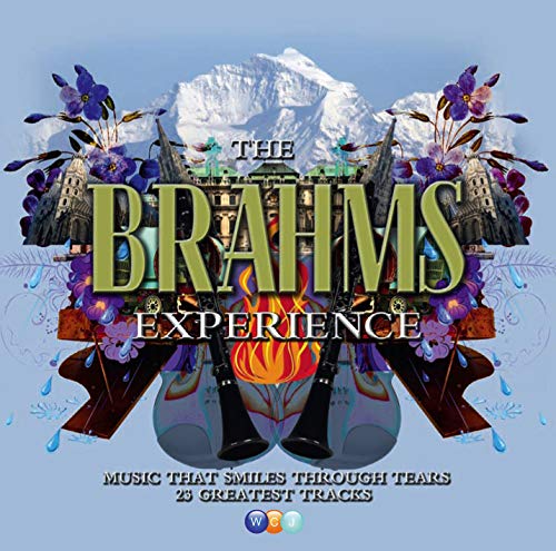 The Brahms Experience