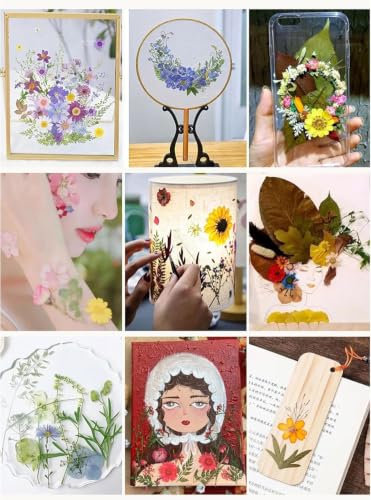 120 hojas y flores prensadas secas para manualidades miniatura 6