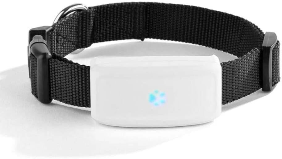 GPS Tracker TK911 LOCALIZZATORE SATELLITARE PER ANIMALI Cane Gatto PET Animals
