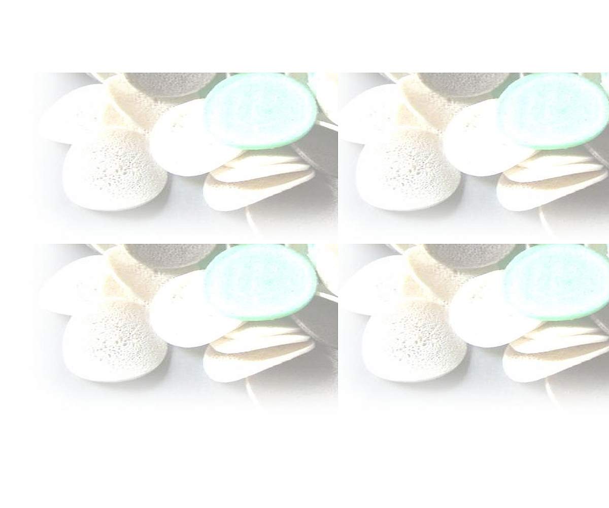 Materiale biologico filtrante Biochip 25 litri