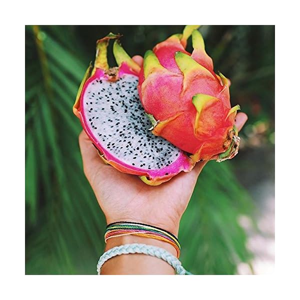 Pura-Vida-Jewelry-Bracelets-Muted-Bracelet-100-Waterproof-and-Handmade-wCoated-Charm-Adjustable-Band Pura Vida Jewelry Bracelets Bright Bracelet - 100% Waterproof and Handmade w/Coated Charm, Adjustable Band (Hakuna Matata)