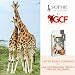 Imagen de Sophie la Girafe