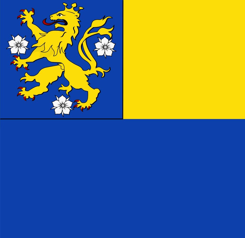 Drapeau Doetinchem vlag 1938 grand format pour décoration de salle
