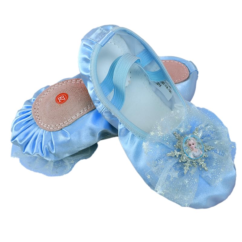 Dance Shoes for Girls, Ballet Shoes Leather Split Sole, Cute Flowers Gym Shoes, Ballet Slippers for Toddler Girls(Toddler/Little/Big Kid)