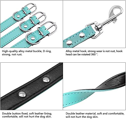Didog Ensemble collier et laisse rembourrés en cuir souple avec plaque d'identification gravée personnalisée, pour chiens de petite et moyenne taille, bleu, taille M – Image 4