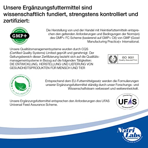 NutriLabs Placamax Hund Kautabletten zur Unterstützung der Verdauung von Hunden mit Pankreasenzymen und Ananaspulver & Acid Protect Hund Magenkräuter Kautabletten zur Unterstützung