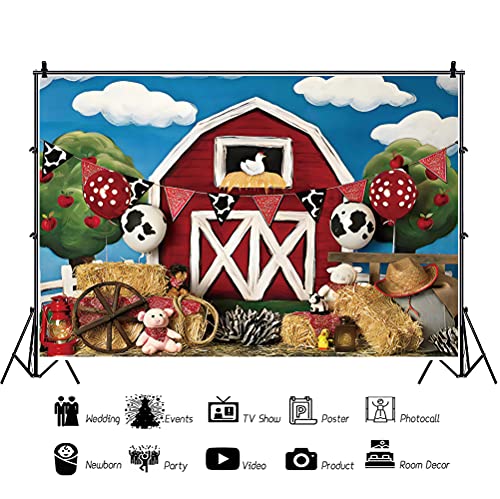 Renaiss 2.5x1.8m Fattoria Red Barn Photography