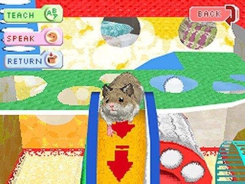 Hamsterz Life - Nintendo DS (Renewed)