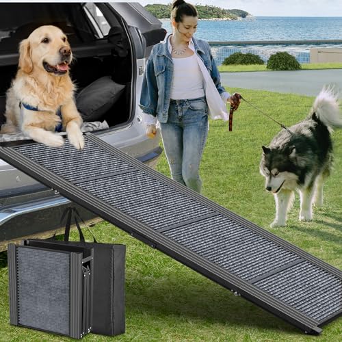 18 Most Essential Dog Car Travel Accessories You Must Have