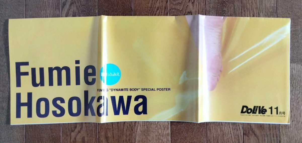 Amazon.co.jp: s2616 細川ふみえ セクシー等身大ポスター 未開封品
