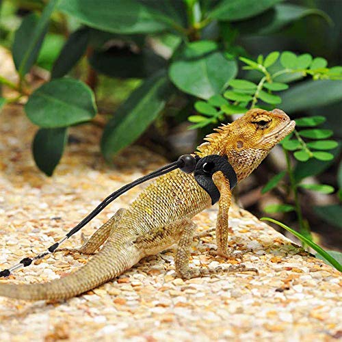 ASOCEA 3 Size Bearded Dragon hagedis Harnas Riem Verstelbare Reptiel Outdoor Nylon Touw Wandellijn voor Gecko Amfibieën Kameleon Baby Leguaan (S,M,L) - Image 7