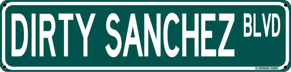 Toothsome StudiosDirty Sanchez Blvd Funny Inappropriate 16" x 4" Tin Street Sign Dorm Bedroom Punny Home Bar Decor (DirtySanchezStreet)
