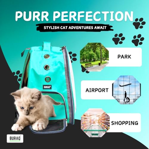 Image of Risan Buraq Pets Pet Backpack Transparent Cat & Small Dog Puppy Kitty Shihtzu Carriers for Breathable Airline Travel Approved Air Ventilation Backpack Size 17 x 13 x 11 inch Yellow (Seagreen)