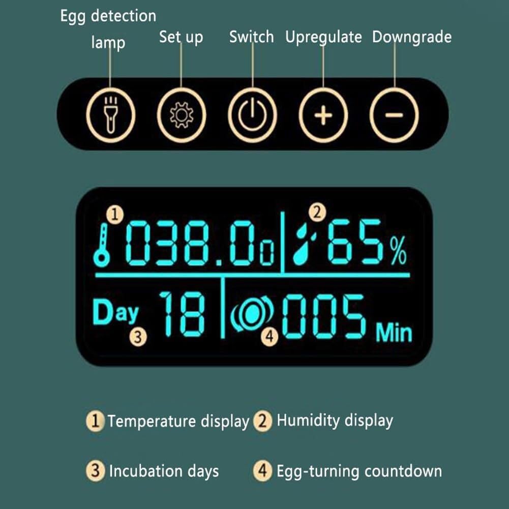 Incubadora de Huevos 25 Automática con Giro Automático 360°, Pantalla LED Inteligente Temperatura y Humedad, Incubadora para Pollos Patos Gansos, Uso Doméstico Educativo y de Laboratorio